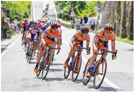 网页版电话攻击